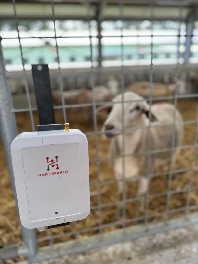 CHESTER IoT sensor monitoring equipment installed in a cattle stable