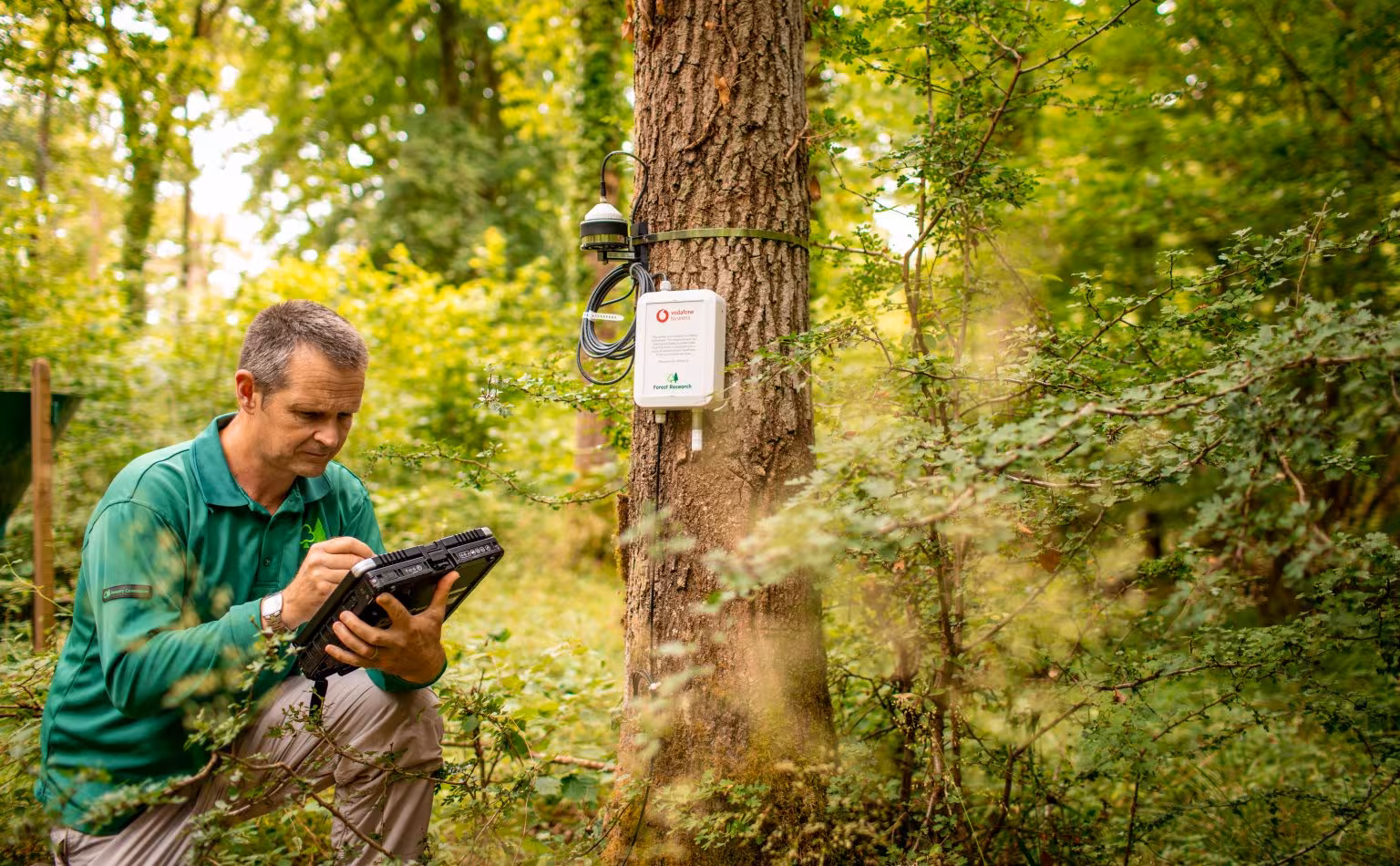 Forest Research agencji Defra zyskuje natychmiastowe dane do badań nad zmianami klimatu